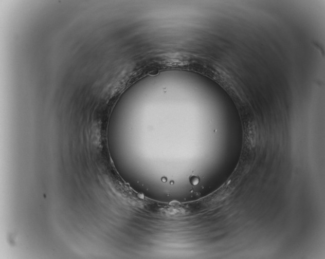 X0000102300512200808011543