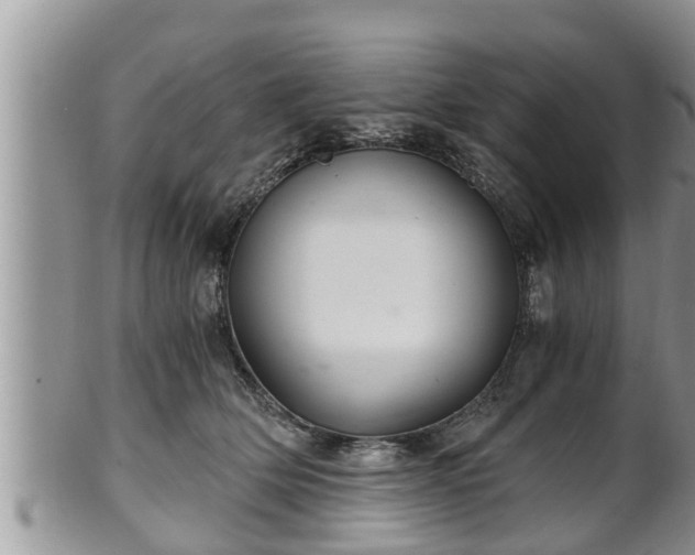 X0000102300514200808011543