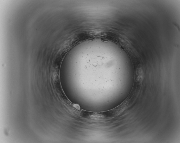 X0000102300515200808011543