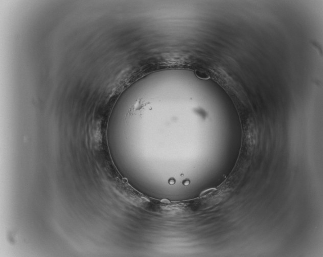 X0000102300516200808011543