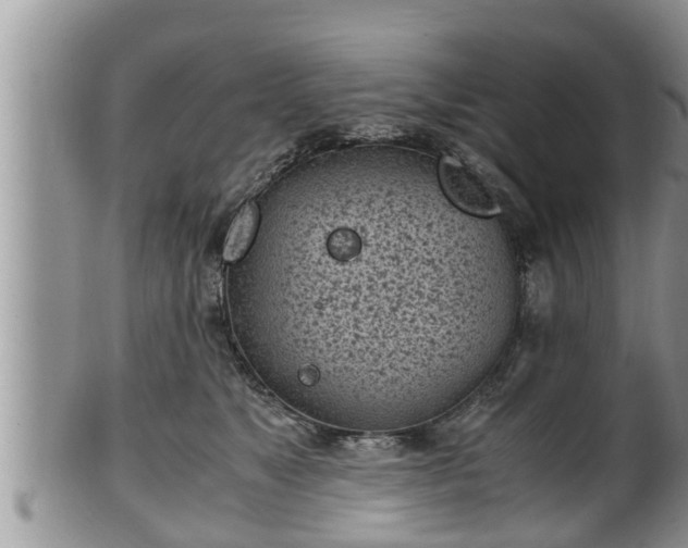 X0000102300517200808011543