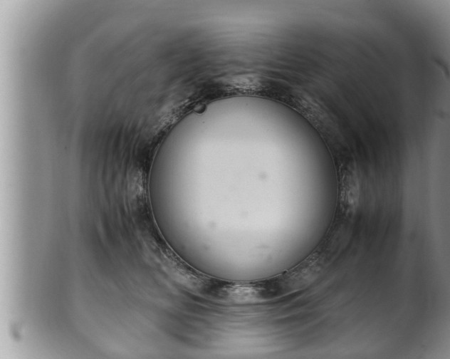 X0000102300518200808011543