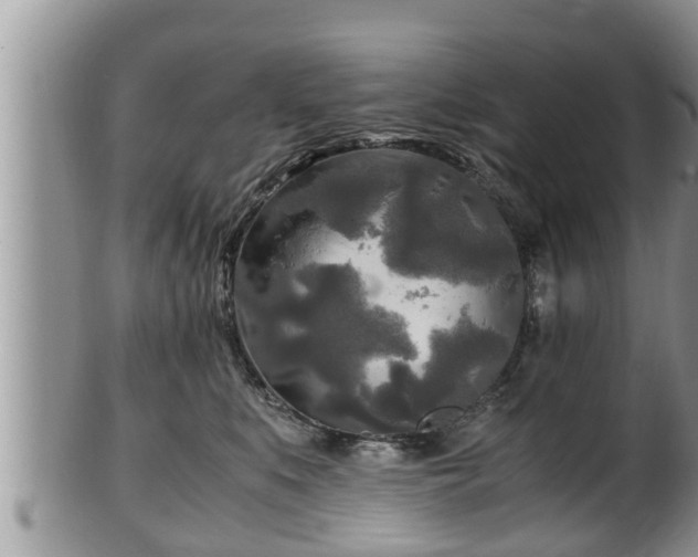 X0000102300519200808011543