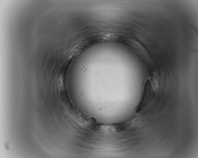 X0000102300520200808011543