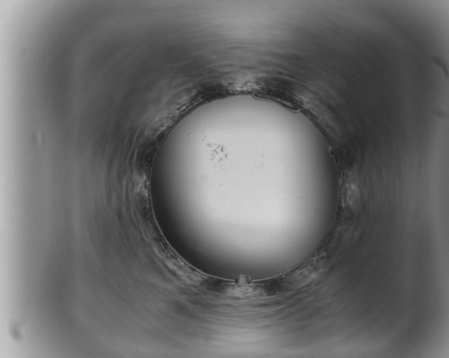 X0000102300521200808011543