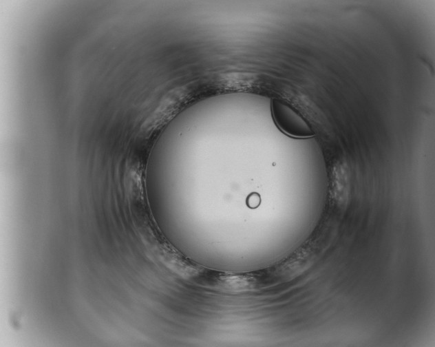 X0000102300522200808011543