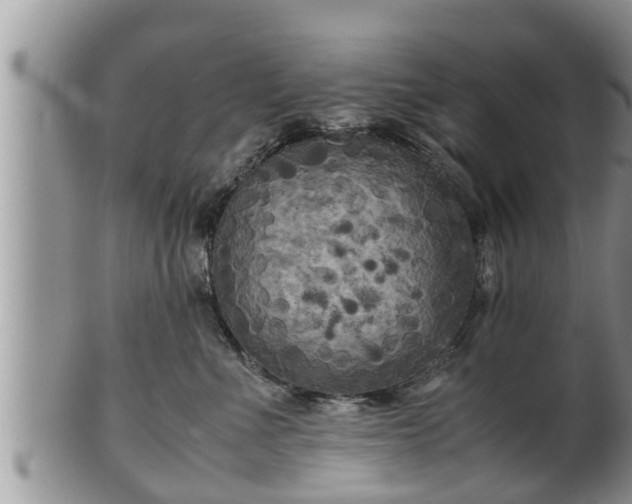 X0000102300523200808011543