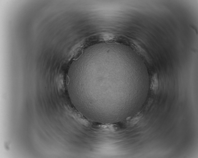 X0000102300524200808011543