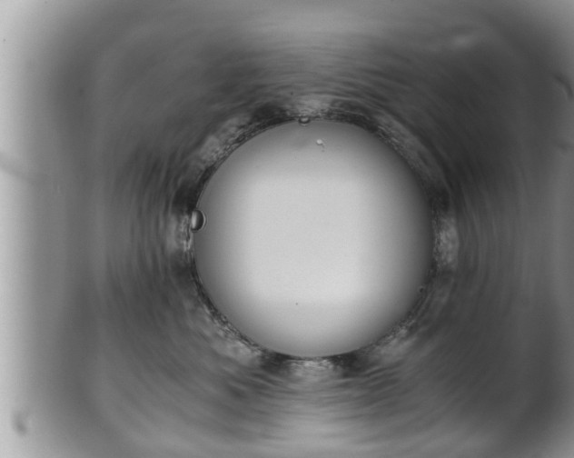 X0000102300525200808011543