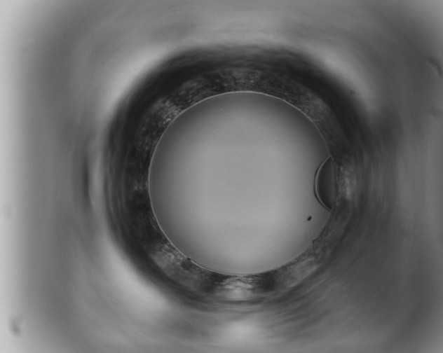 X0000102300526200808011543