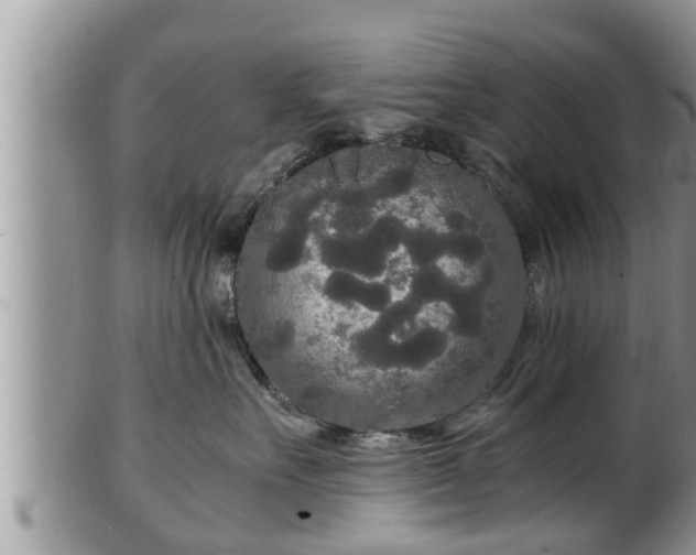 X0000102300527200808011543