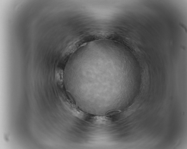 X0000102300528200808011543