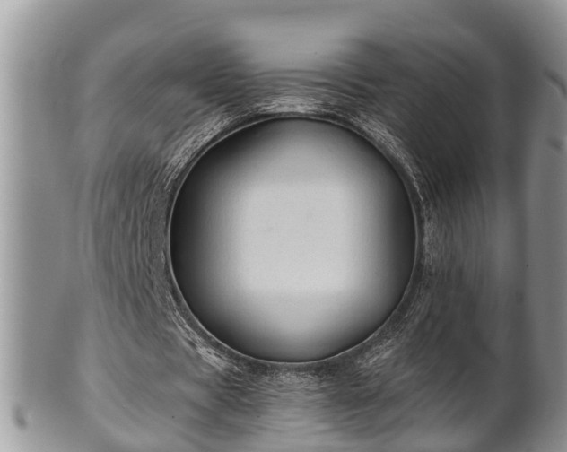 X0000102300529200808011542