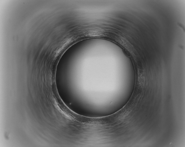 X0000102300530200808011542