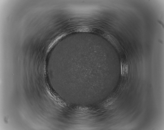 X0000102300531200808011542