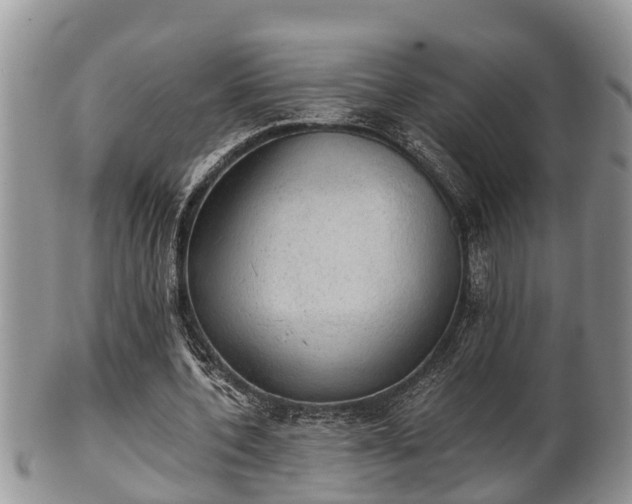 X0000102300532200808011542