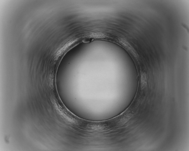 X0000102300533200808011542