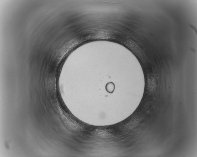 X0000102300534200808011542