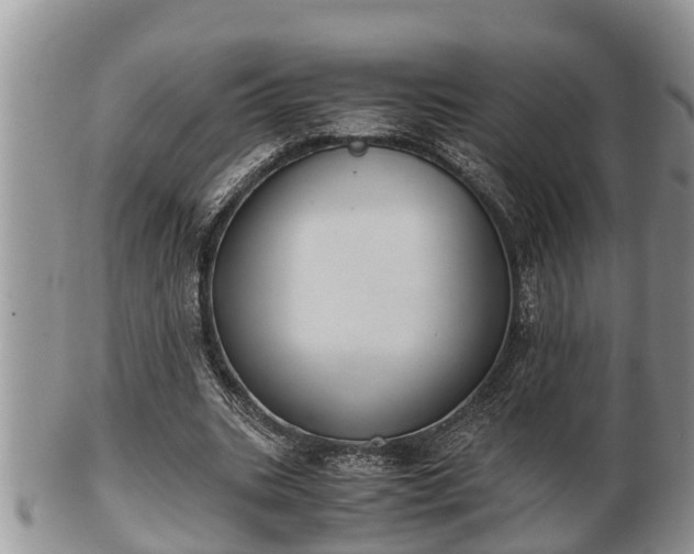 X0000102300535200808011542