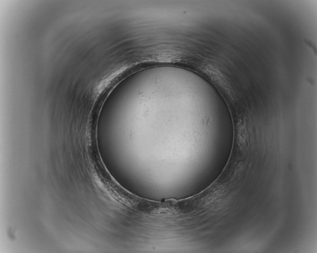 X0000102300536200808011542