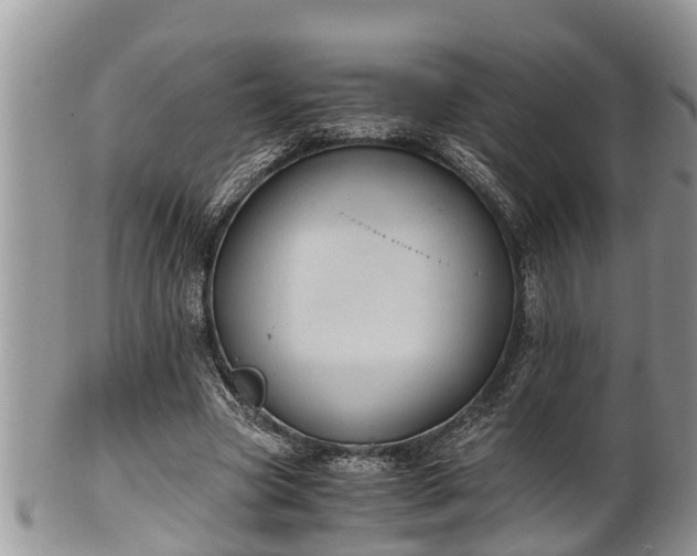 X0000102300537200808011542