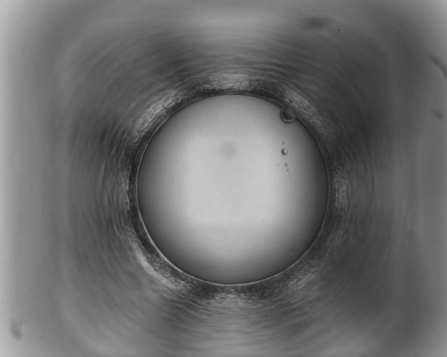 X0000102300538200808011542