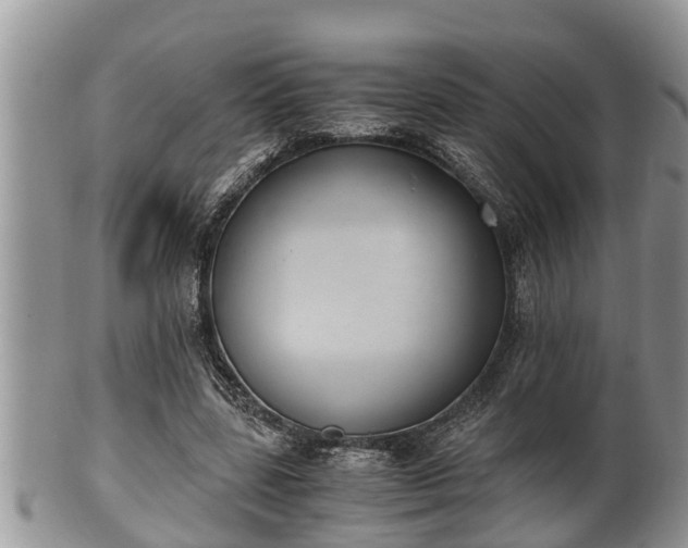 X0000102300539200808011542