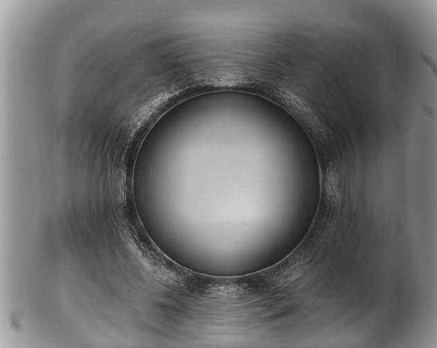 X0000102300540200808011542