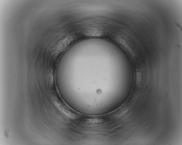 X0000102300541200808011542