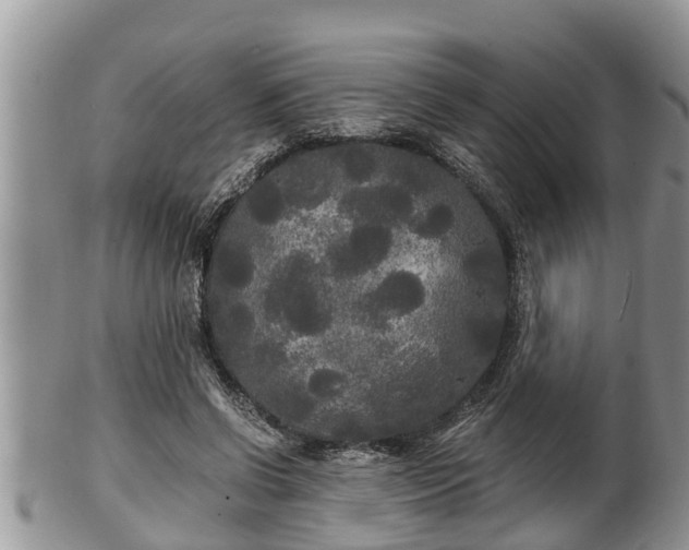 X0000102300542200808011542