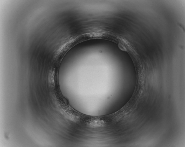 X0000102300543200808011542