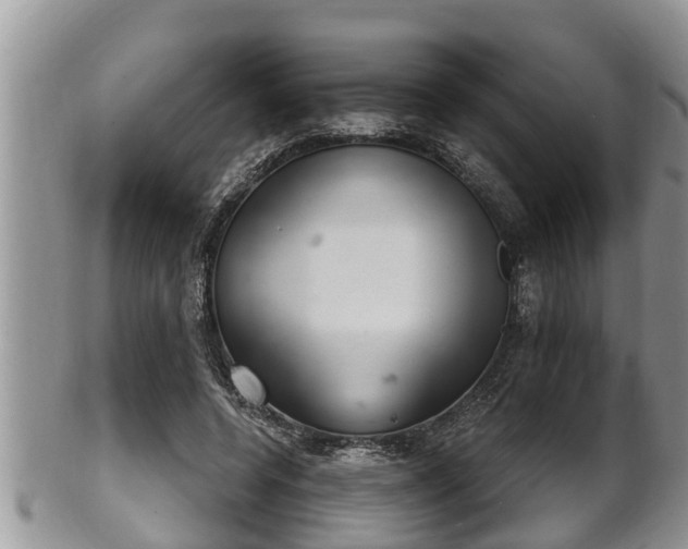 X0000102300544200808011542