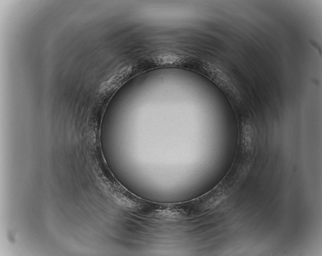 X0000102300545200808011542