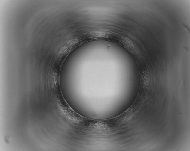 X0000102300546200808011542