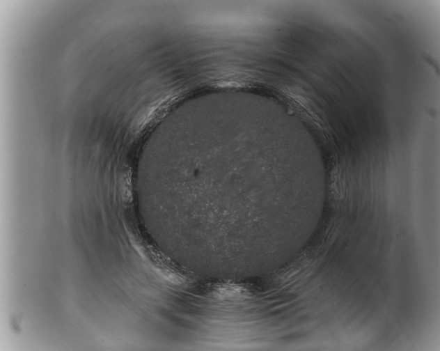 X0000102300547200808011542