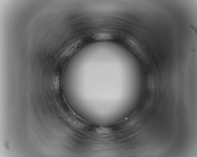 X0000102300549200808011542