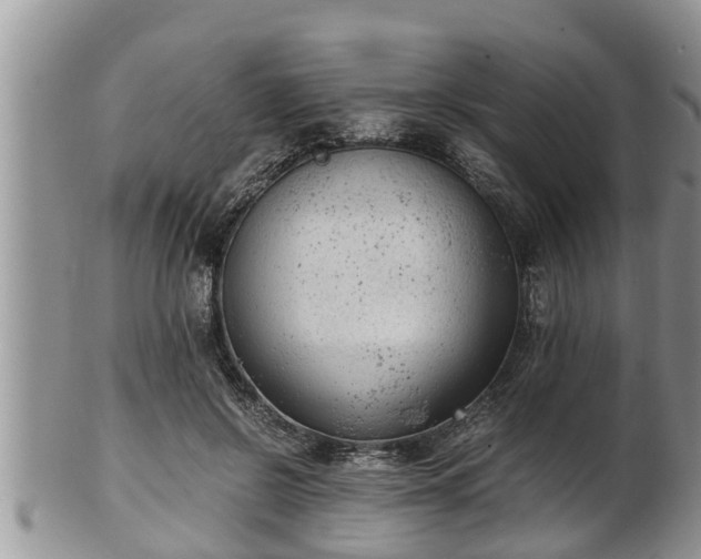 X0000102300550200808011542