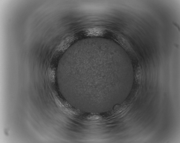 X0000102300551200808011542