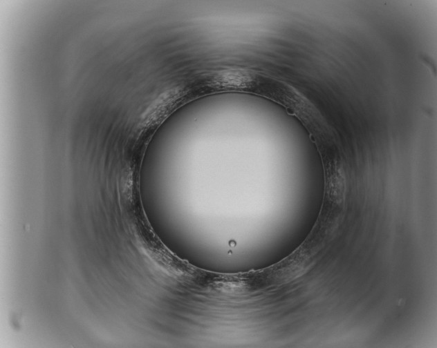 X0000102300552200808011542