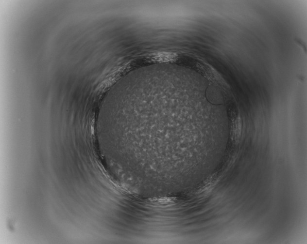 X0000102300553200808011542