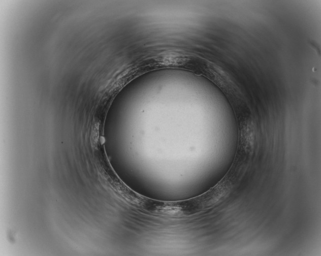 X0000102300554200808011542