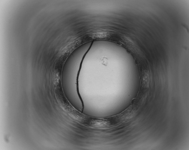 X0000102300555200808011542