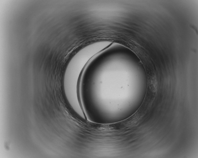 X0000102300556200808011542