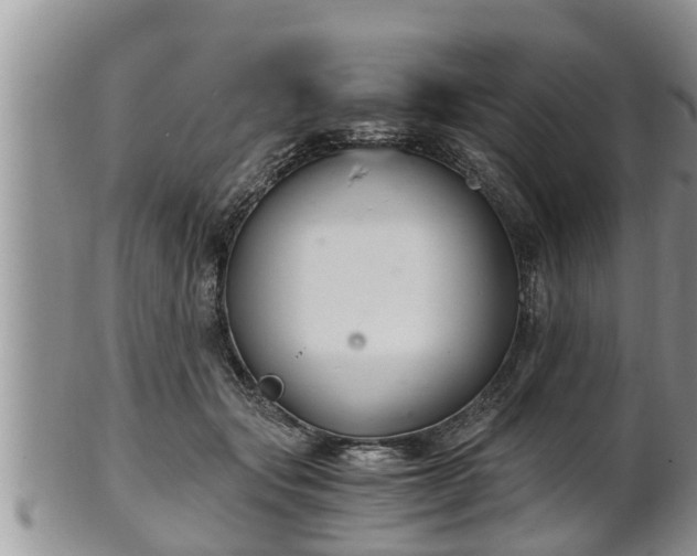 X0000102300557200808011542