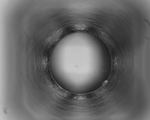 X0000102300559200808011542