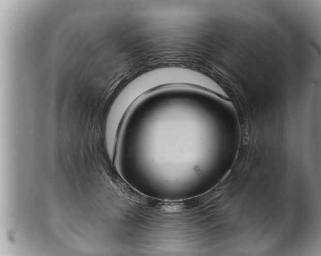 X0000102300560200808011542