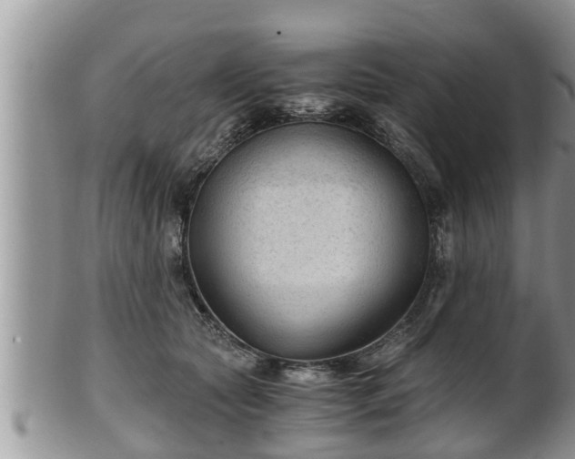 X0000102300561200808011542