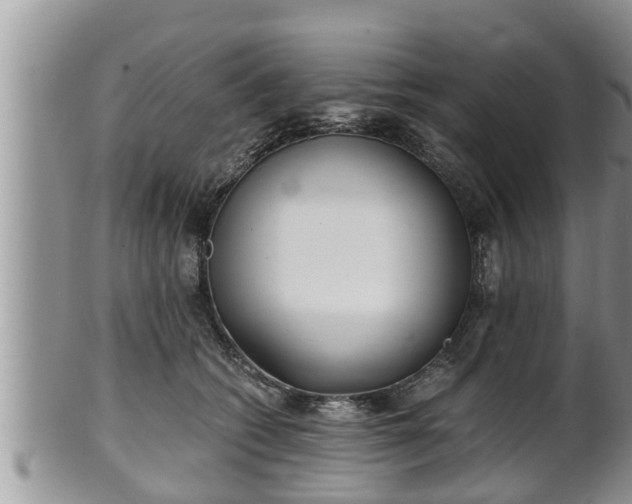 X0000102300562200808011542