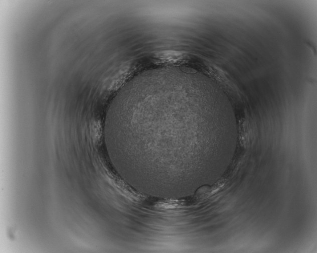 X0000102300563200808011543