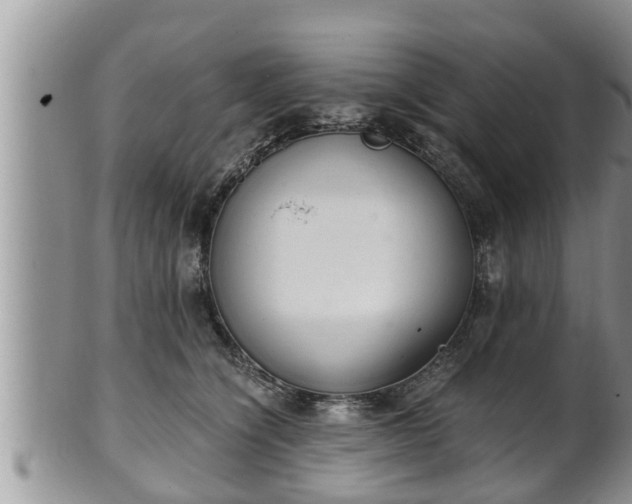 X0000102300564200808011543